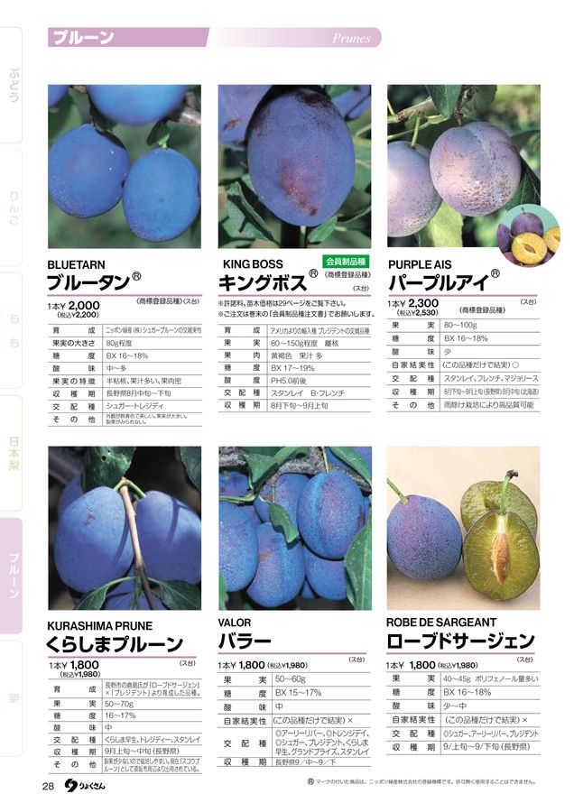 果樹苗木カタログ2023秋～2024春